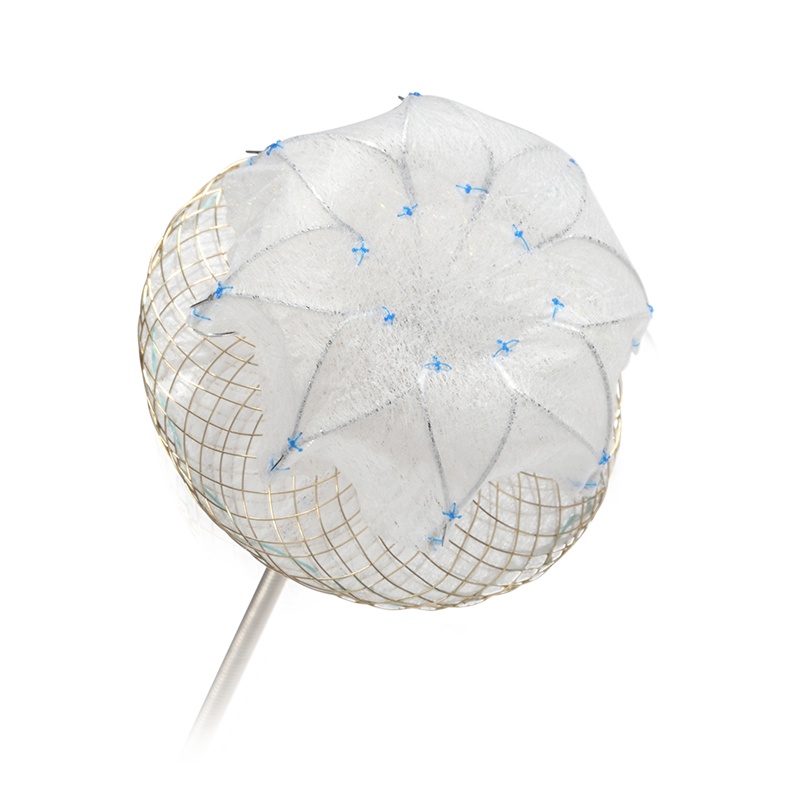 3L Smart左心耳封堵系列